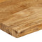 vidaXL - Tafelblad - met - natuurlijke - rand - 100x40x3,8 - cm - massief - mangohout