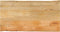 vidaXL - Tafelblad - met - natuurlijke - rand - 100x60x2,5 - cm - massief - mangohout