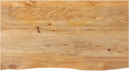 vidaXL - Tafelblad - met - natuurlijke - rand - 100x60x2,5 - cm - massief - mangohout