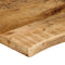 vidaXL - Tafelblad - met - natuurlijke - rand - 100x60x2,5 - cm - massief - mangohout