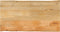 vidaXL - Tafelblad - met - natuurlijke - rand - 100x60x3,8 - cm - massief - mangohout