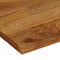 vidaXL - Tafelblad - met - natuurlijke - rand - 100x80x2,5 - cm - massief - mangohout
