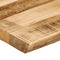 vidaXL - Tafelblad - met - natuurlijke - rand - 110x60x3,8 - cm - massief - mangohout