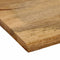 vidaXL - Tafelblad - met - natuurlijke - rand - 110x80x2,5 - cm - massief - mangohout