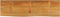 vidaXL - Tafelblad - met - natuurlijke - rand - 120x40x3,8 - cm - massief - mangohout
