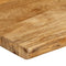 vidaXL - Tafelblad - met - natuurlijke - rand - 50x40x3,8 - cm - massief - mangohout