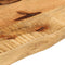 vidaXL - Tafelblad - met - natuurlijke - rand - 60x20x2,5 - cm - massief - mangohout
