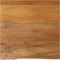 vidaXL - Tafelblad - met - natuurlijke - rand - 60x60x3,8 - cm - massief - mangohout