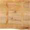 vidaXL - Tafelblad - met - natuurlijke - rand - 60x60x3,8 - cm - massief - mangohout