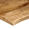 vidaXL - Tafelblad - met - natuurlijke - rand - 80x60x2,5 - cm - massief - mangohout