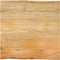 vidaXL - Tafelblad - met - natuurlijke - rand - 80x80x2,5 - cm - massief - mangohout