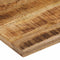 vidaXL - Tafelblad - met - natuurlijke - rand - 90x80x3,8 - cm - massief - mangohout