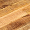vidaXL - Tafelblad - ovaal - 110x40x2,5 - cm - massief - ruw - mangohout
