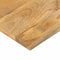 vidaXL - Tafelblad - rechthoekig - 140x20x2,5 - cm - massief - mangohout