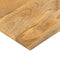 vidaXL - Tafelblad - rechthoekig - 160x20x2,5 - cm - massief - mangohout