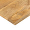 vidaXL - Tafelblad - rechthoekig - 50x40x3,8 - cm - massief - mangohout