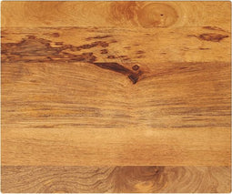 vidaXL - Tafelblad - rechthoekig - 60x50x3,8 - cm - massief - mangohout