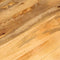 vidaXL - Tafelblad - rond - Ø - 40x2,5 - cm - massief - ruw - mangohout