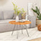 vidaXL - Tafelblad - rond - Ø - 50x2,5 - cm - massief - acaciahout