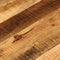 vidaXL - Tafelblad - rond - Ø - 80x1,5 - cm - massief - ruw - mangohout