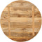 vidaXL - Tafelblad - rond - Ø - 80x2,5 - cm - massief - ruw - mangohout