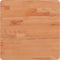 vidaXL - Tafelblad - vierkant - 40x40x2,5 - cm - massief - beukenhout