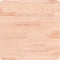 vidaXL - Tafelblad - vierkant - 40x40x4 - cm - massief - beukenhout