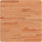 vidaXL - Tafelblad - vierkant - 50x50x1,5 - cm - massief - beukenhout