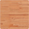 vidaXL - Tafelblad - vierkant - 50x50x2,5 - cm - massief - beukenhout