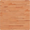 vidaXL - Tafelblad - vierkant - 70x70x2,5 - cm - massief - beukenhout