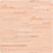 vidaXL - Tafelblad - vierkant - 70x70x2,5 - cm - massief - beukenhout