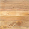 vidaXL - Tafelblad - vierkant - 90x90x3,8 - cm - massief - mangohout