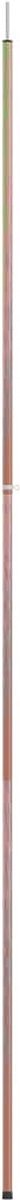 vidaXL - Tentstok - telescopisch - 170-255 - cm - gegalvaniseerd - staal