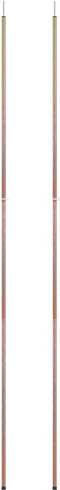 vidaXL - Tentstokken - 2 - st - telescopisch - 170-255 - cm - gegalvaniseerd - staal