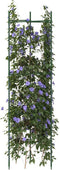 vidaXL - Tomatenkooi - 2 - st - 116 - cm - staal - en - polypropeen