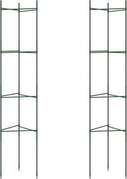 vidaXL - Tomatenkooi - 2 - st - 154 - cm - staal - en - polypropeen