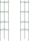 vidaXL - Tomatenkooi - 2 - st - 154 - cm - staal - en - polypropeen