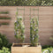 vidaXL - Tomatenkooi - 2 - st - 154 - cm - staal - en - polypropeen