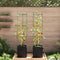 vidaXL - Tomatenkooi - met - plantenzak - 2 - st - 154 - cm - staal - en - polypropeen
