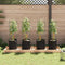 vidaXL - Tomatenkooien - met - plantenzak - 4 - st - 116 - cm - staal - en - polypropeen