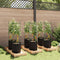 vidaXL - Tomatenkooien - met - plantenzak - 6 - st - 116 - cm - staal - en - polypropeen