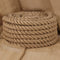 vidaXL - Touw - 10 - m - lang - 36 - mm - dik - jute
