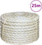 vidaXL - Touw - 10 - mm - 25 - m - 100% - sisal
