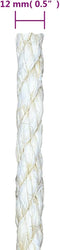 vidaXL - Touw - 12 - mm - 25 - m - 100% - sisal