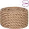 vidaXL - Touw - 25 - m - lang - 16 - mm - dik - jute