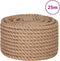 vidaXL - Touw - 25 - m - lang - 20 - mm - dik - jute