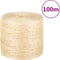 vidaXL - Touw - 4 - mm - 100 - m - 100% - sisal