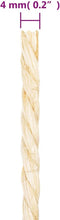 vidaXL - Touw - 4 - mm - 500 - m - 100% - sisal