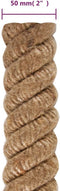 vidaXL - Touw - 5 - m - lang - 50 - mm - dik - jute
