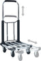 vidaXL - Transportwagen - inklapbaar - 150 - kg - aluminium - zilverkleurig